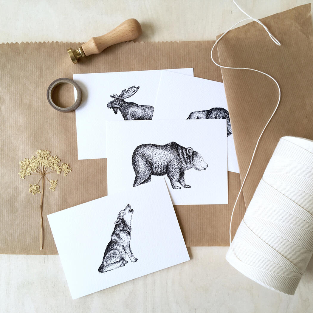 Animals of the North